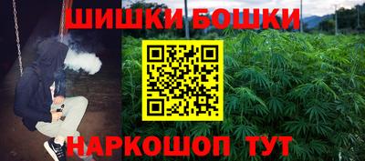 индика Краснознаменск
