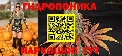 индика Краснознаменск