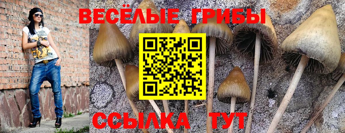 Кировск  Галлюциногенные грибы MAGIC MUSHROOMS  Вход с VPN 