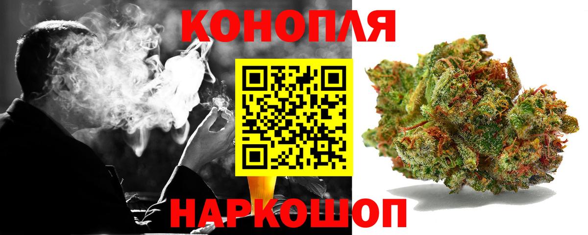 Бошки Шишки план Кировск